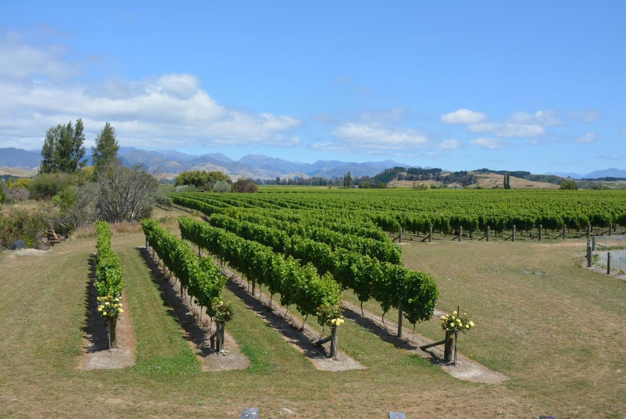 Ddog Vineyard & Bnb Renwick エクステリア 写真