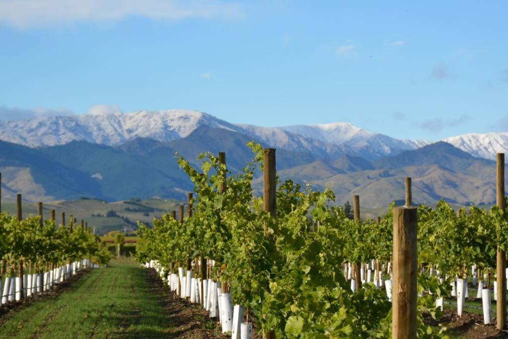 Ddog Vineyard & Bnb Renwick エクステリア 写真