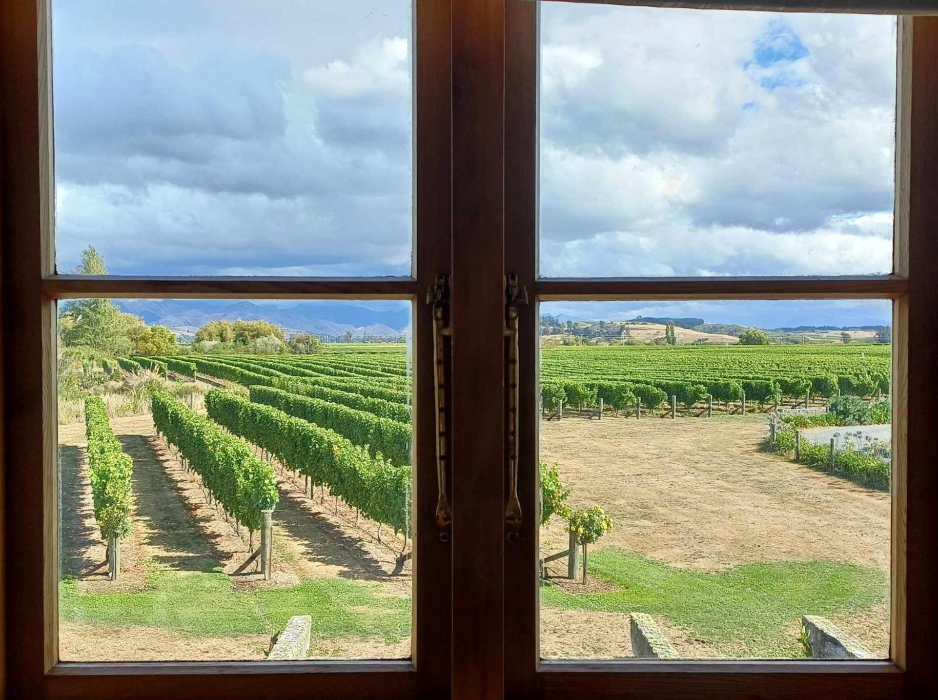 Ddog Vineyard & Bnb Renwick エクステリア 写真